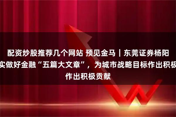 配资炒股推荐几个网站 预见金马｜东莞证券杨阳：扎实做好金融“五篇大文章”，为城市战略目标作出积极贡献