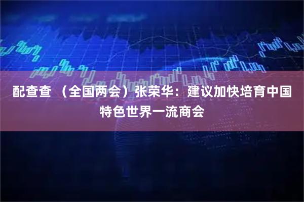 配查查 （全国两会）张荣华：建议加快培育中国特色世界一流商会