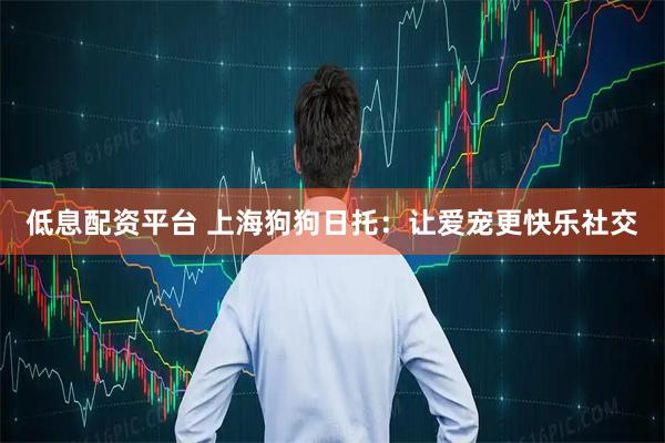 低息配资平台 上海狗狗日托：让爱宠更快乐社交