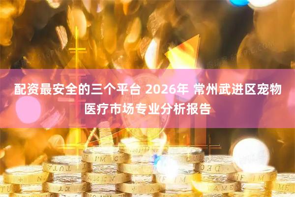 配资最安全的三个平台 2026年 常州武进区宠物医疗市场专业分析报告